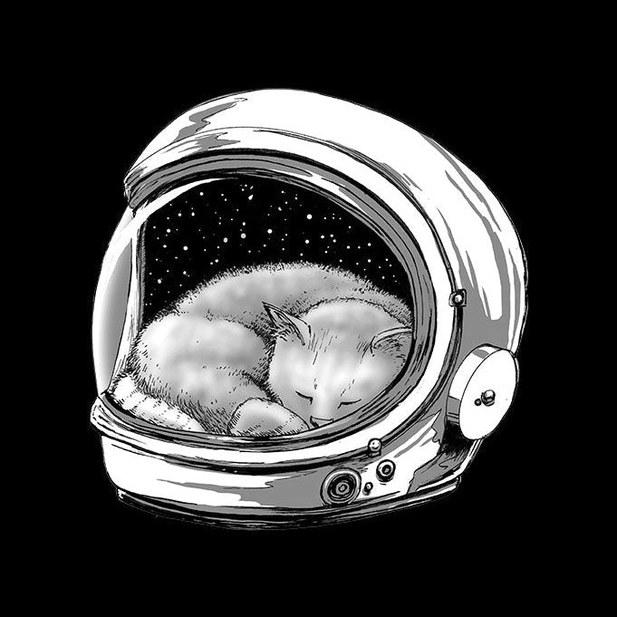 Fingers Duke Cuddles Up In Space Cat T-Shirt