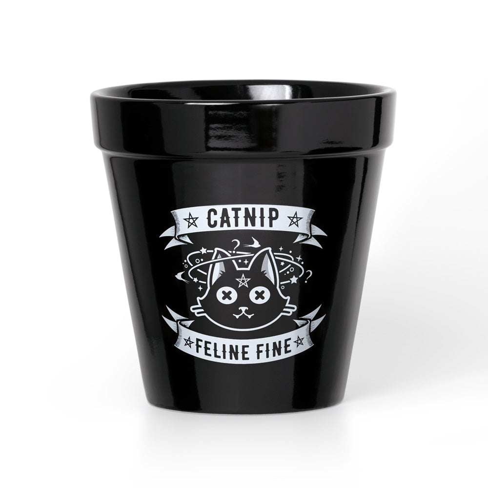 Alchemy Gothic Catnip Feline Fine Plant Pot GPP3