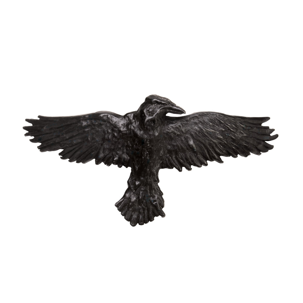 Alchemy Gothic Black Raven Pewter Barrette HH10