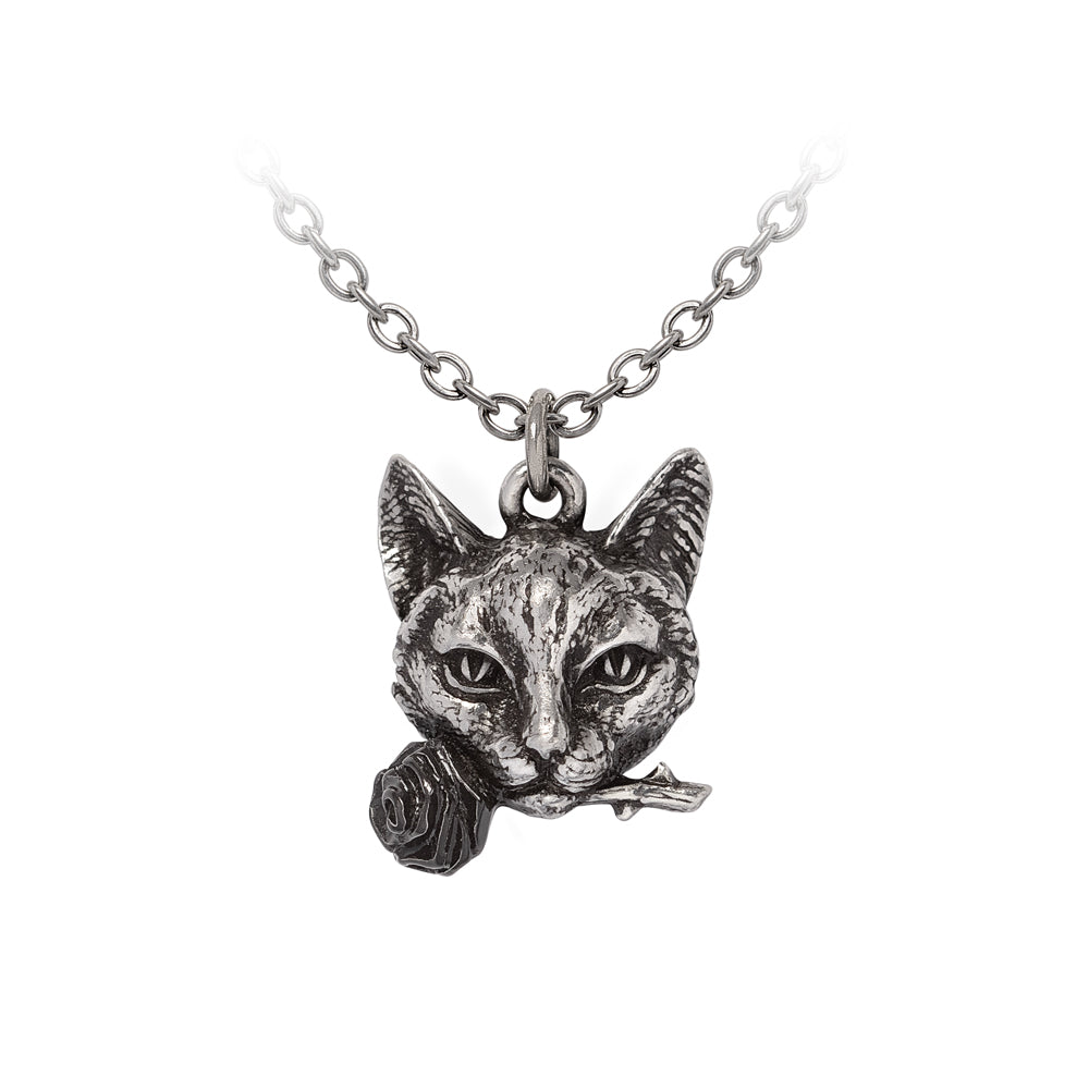 Alchemy Gothic Pendle Hill Imp Cat Face Pewter Pendant P1022