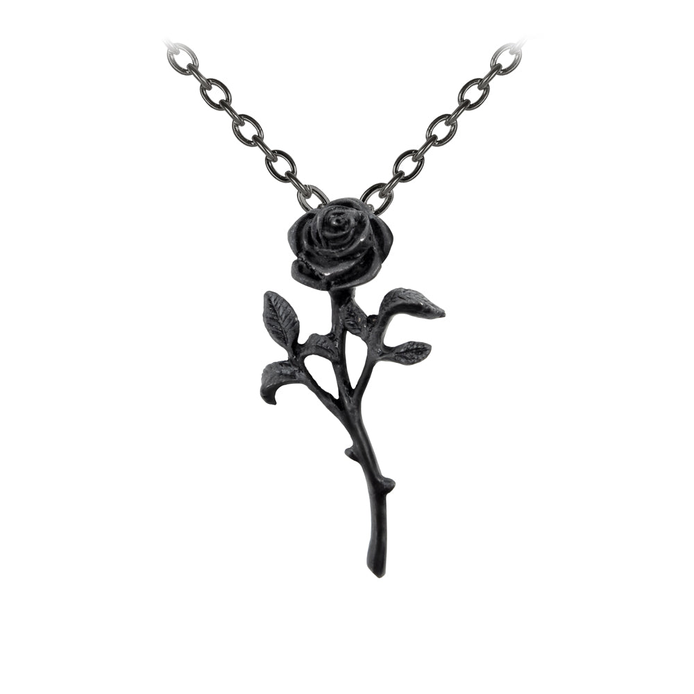 Black rose necklace on a white background