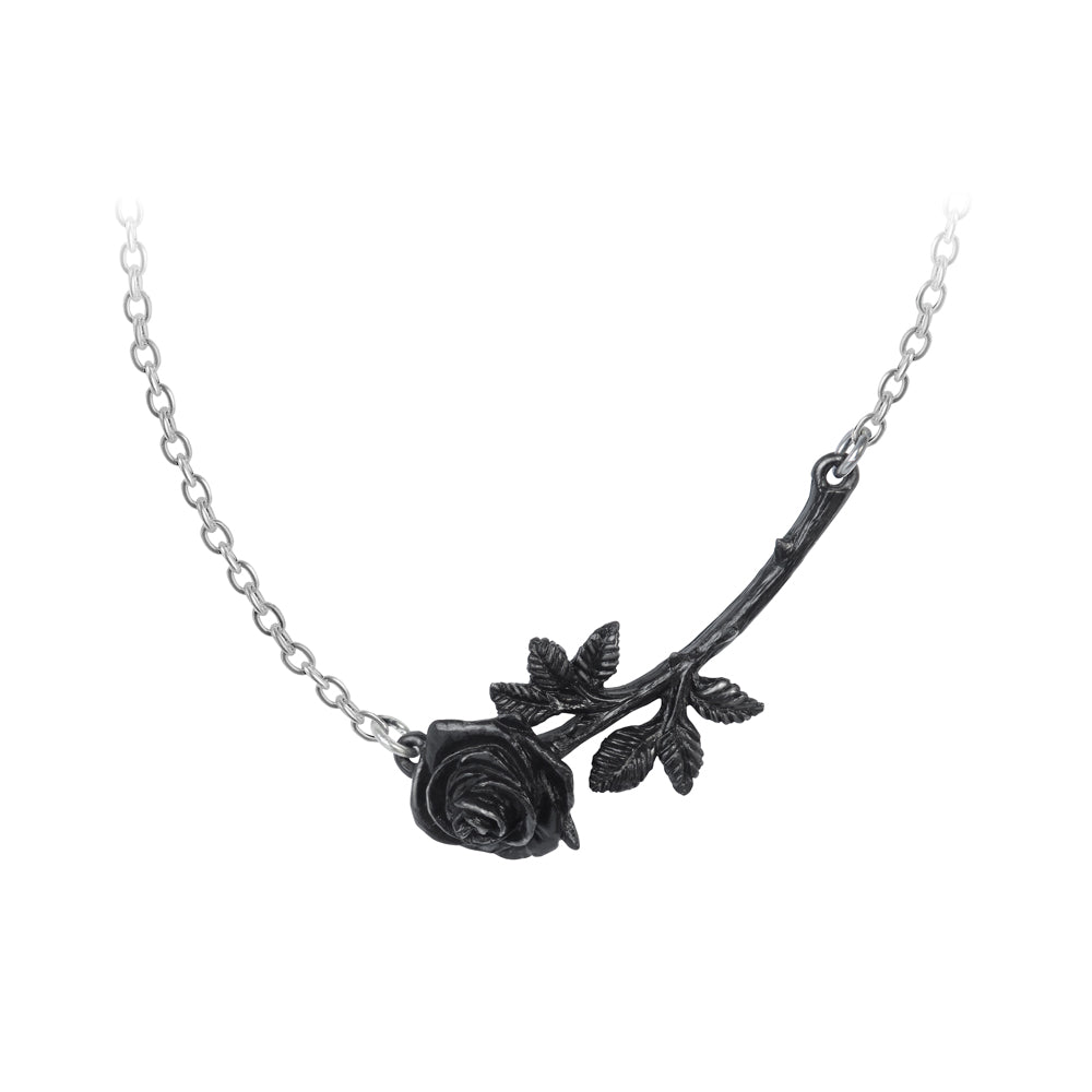Alchemy Gothic Black Rose Thorn Necklace Pendant P913