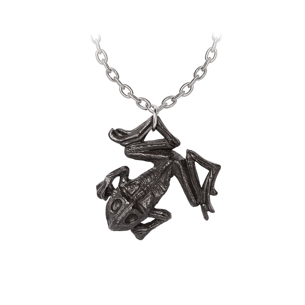 Alchemy Gothic Black Paddock Witch's Dead Frog P987