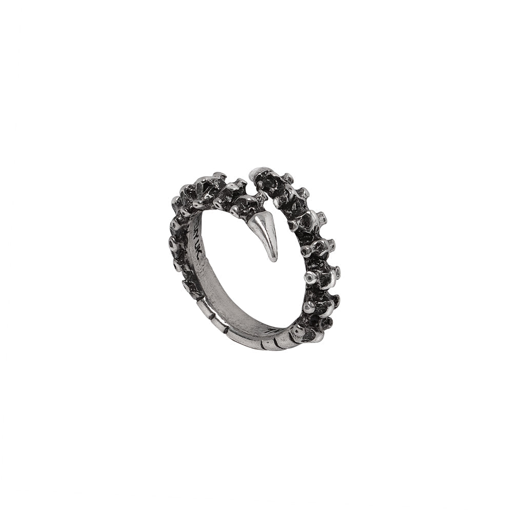 Spine Ring