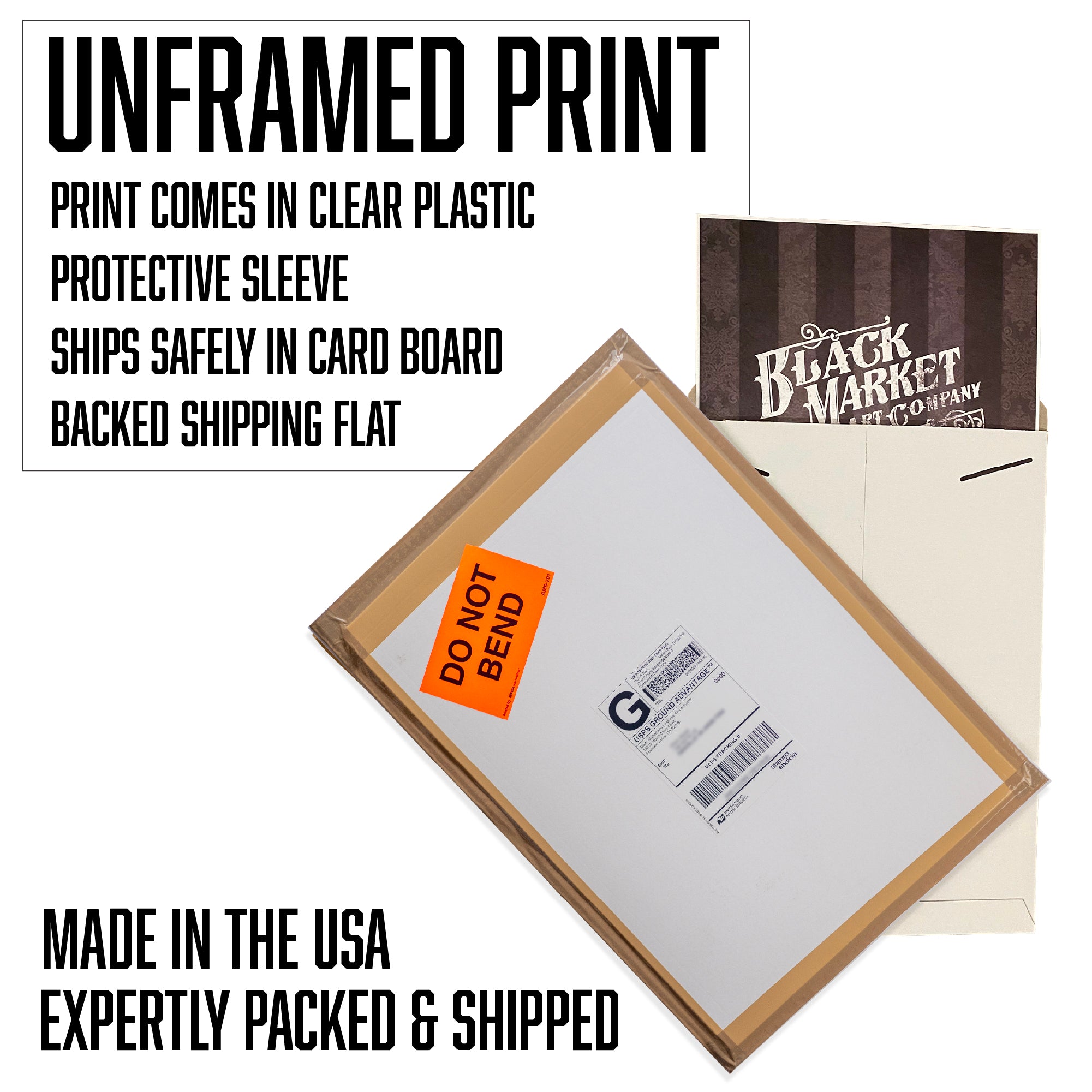 Lowbrow Art Mistress Of The Dark Elvira Fine Art Print