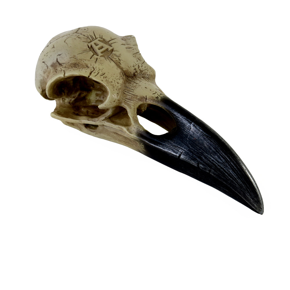 Alchemy Gothic Corvus Alchemia Raven Skull 6.5" Long V16