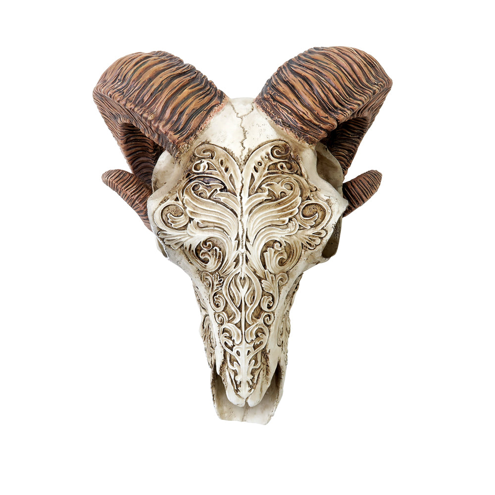 Alchemy Gothic Resin Scrimshaw Ram Skull V53