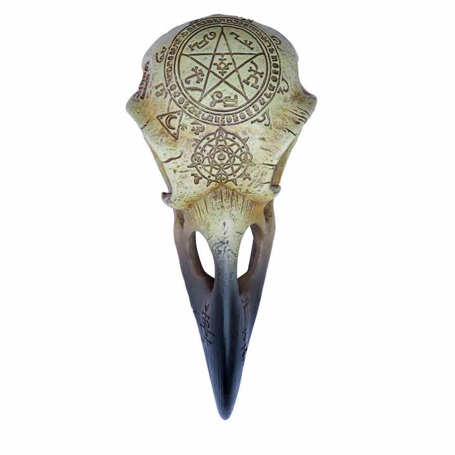 Decorative skull with engraved designs on a white background