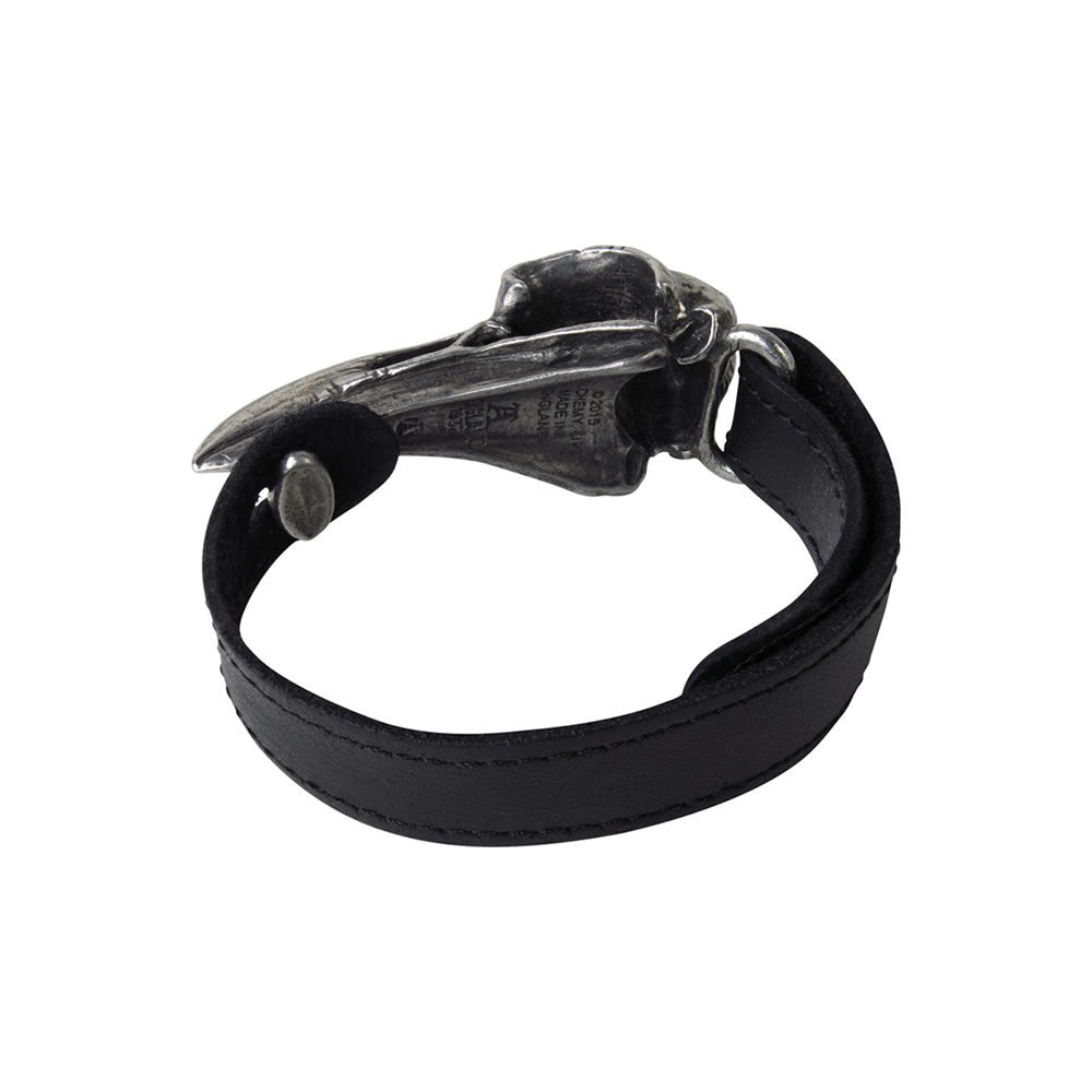 Black leather dog collar with metal clasp on a white background