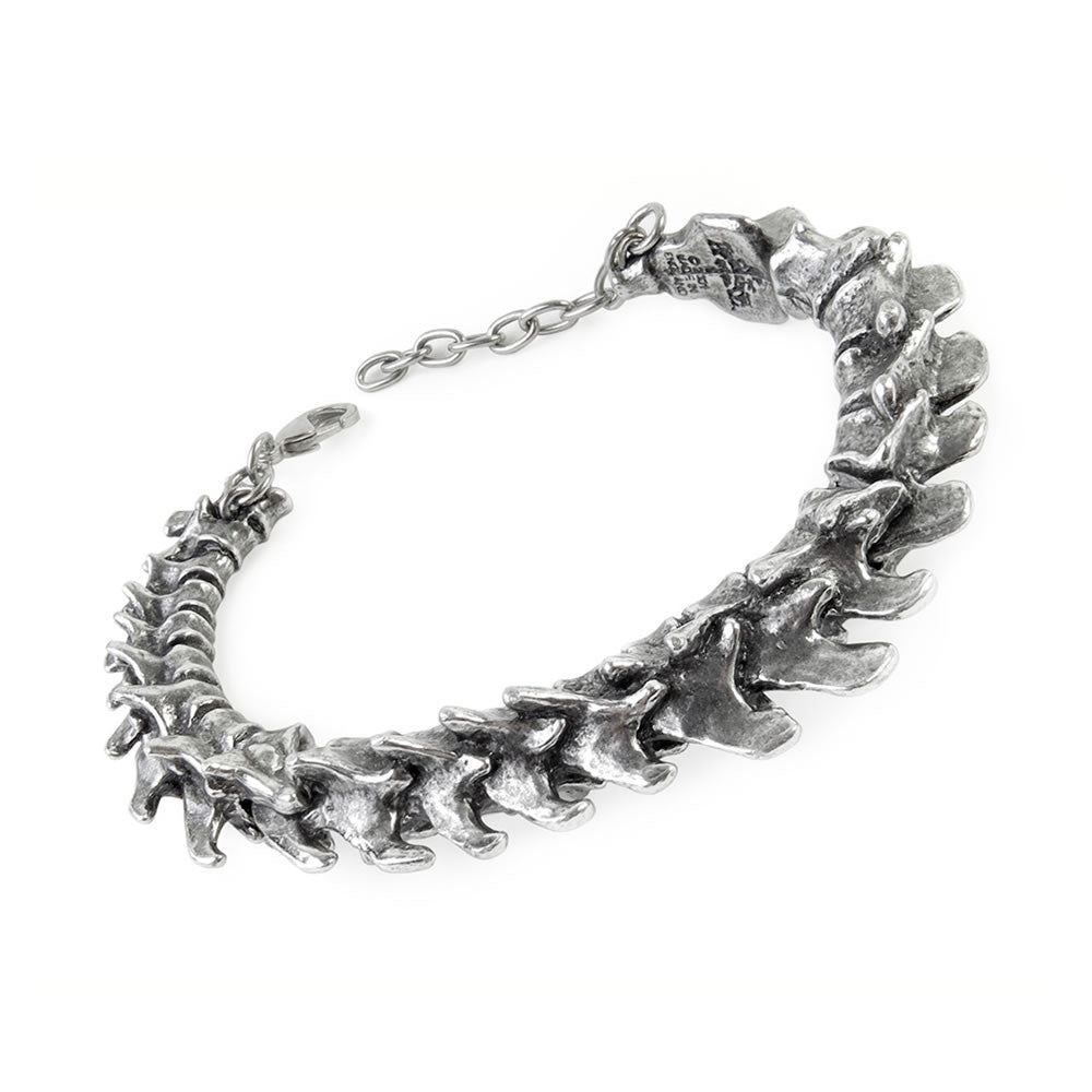 Alchemy Gothic Vertebrae Bracelet Pewter Spine Bone Links A29