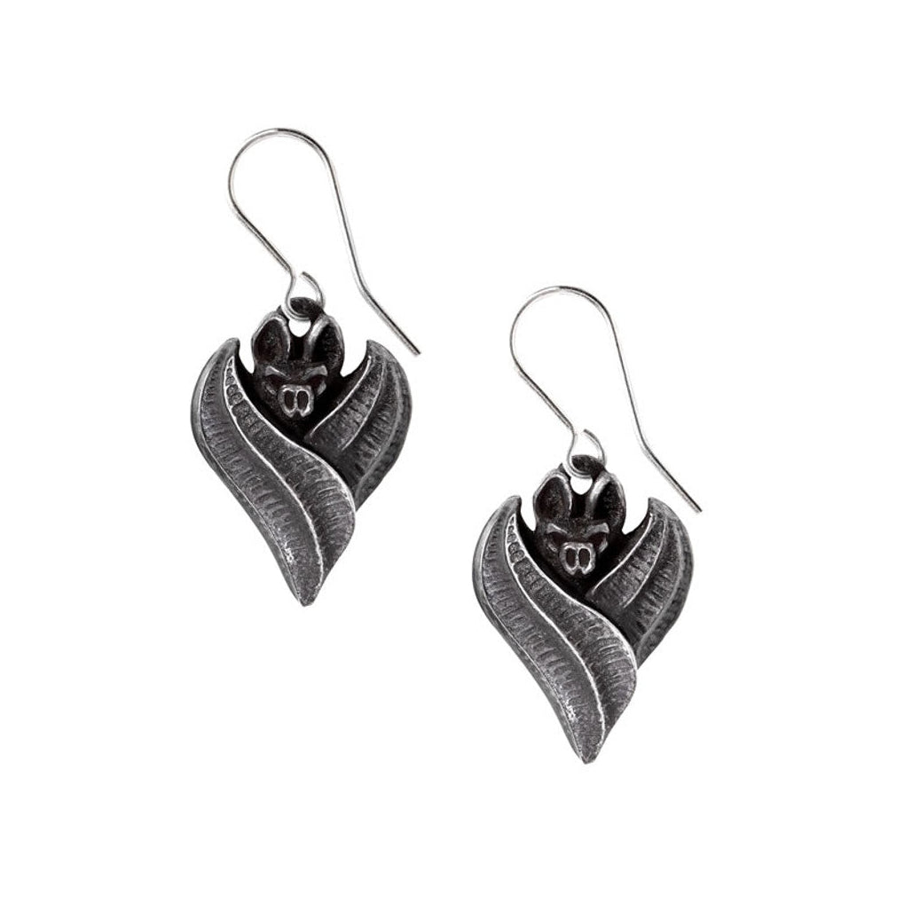 Pair of silver earrings on a white background