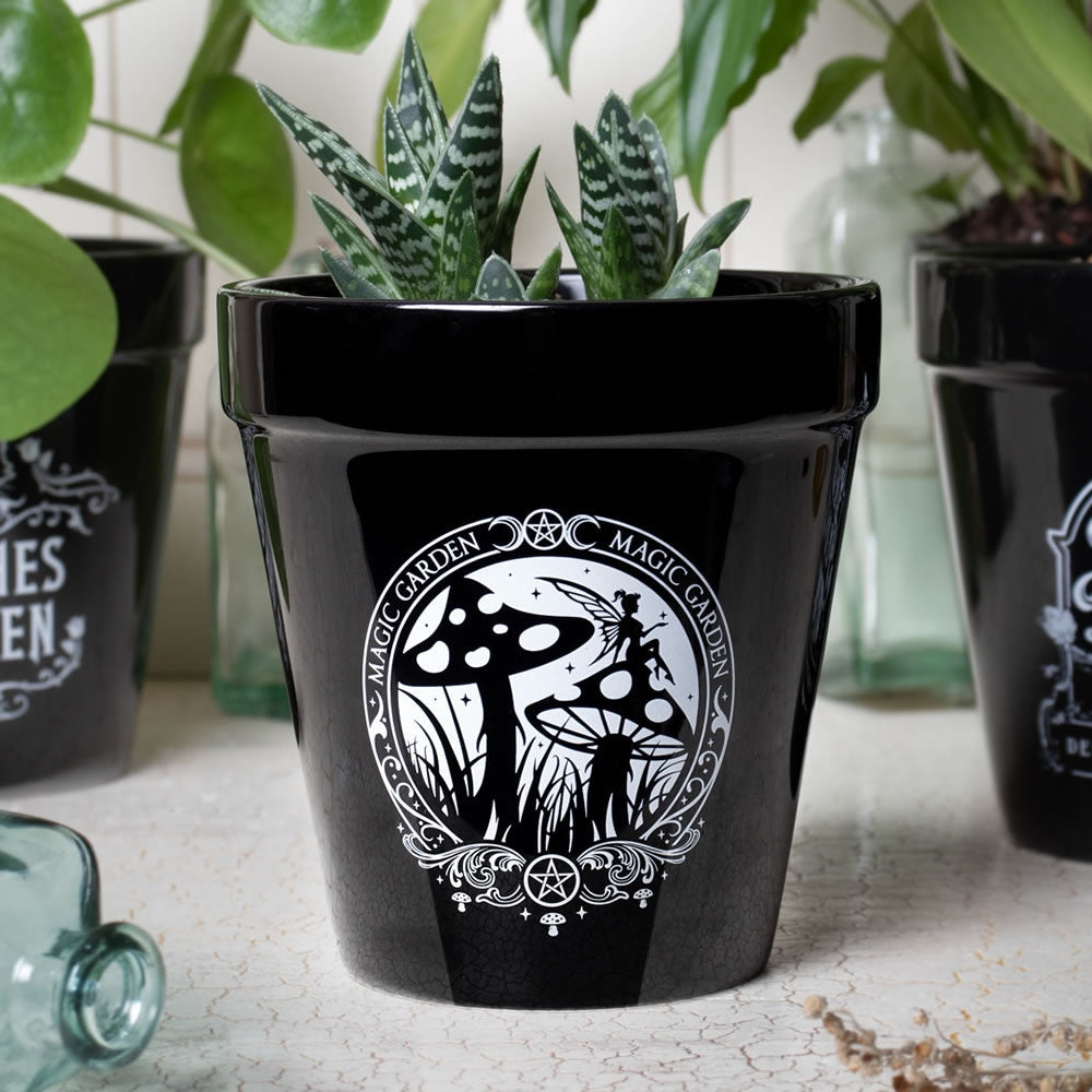 Alchemy Gothic Magic Garden Plant Pot GPP2