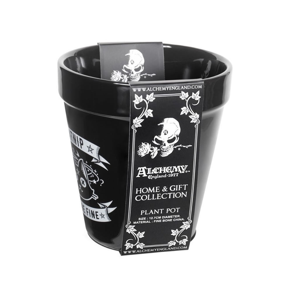 Alchemy Gothic Catnip Feline Fine Plant Pot GPP3