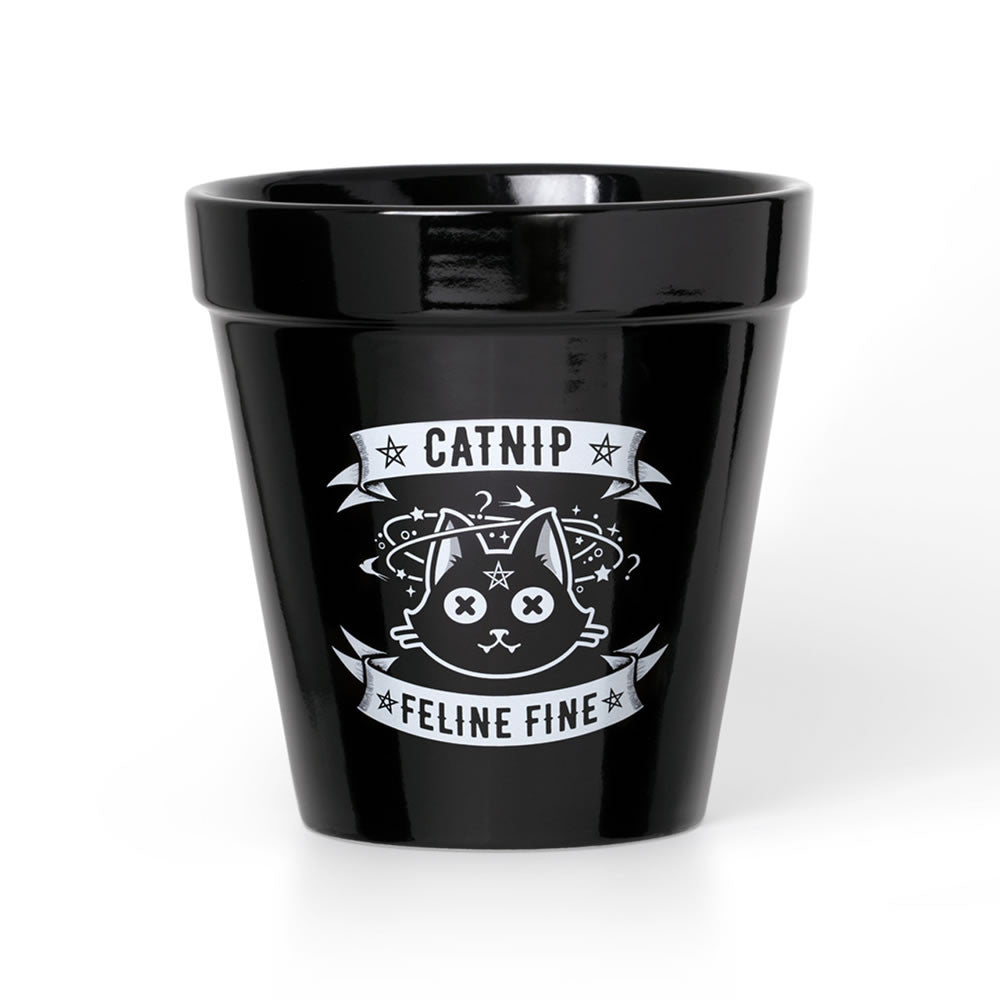Alchemy Gothic Catnip Feline Fine Plant Pot GPP3