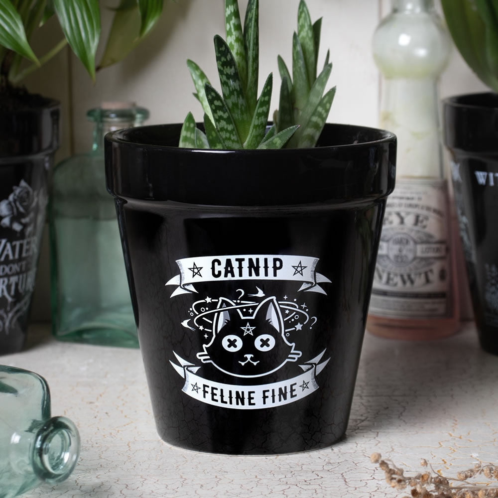 Alchemy Gothic Catnip Feline Fine Plant Pot GPP3
