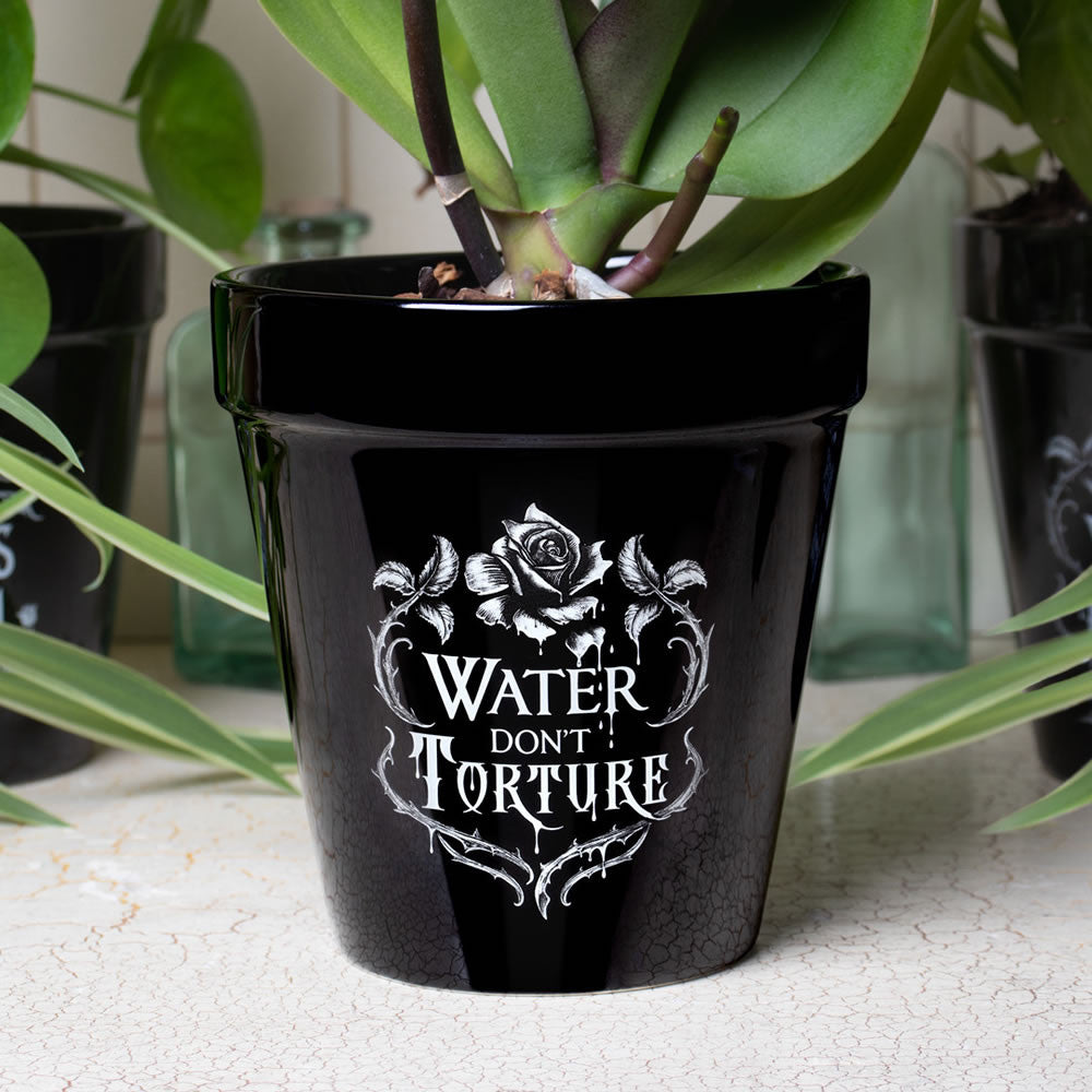 Alchemy Gothic Water Don't Torture Plant Pot GPP4
