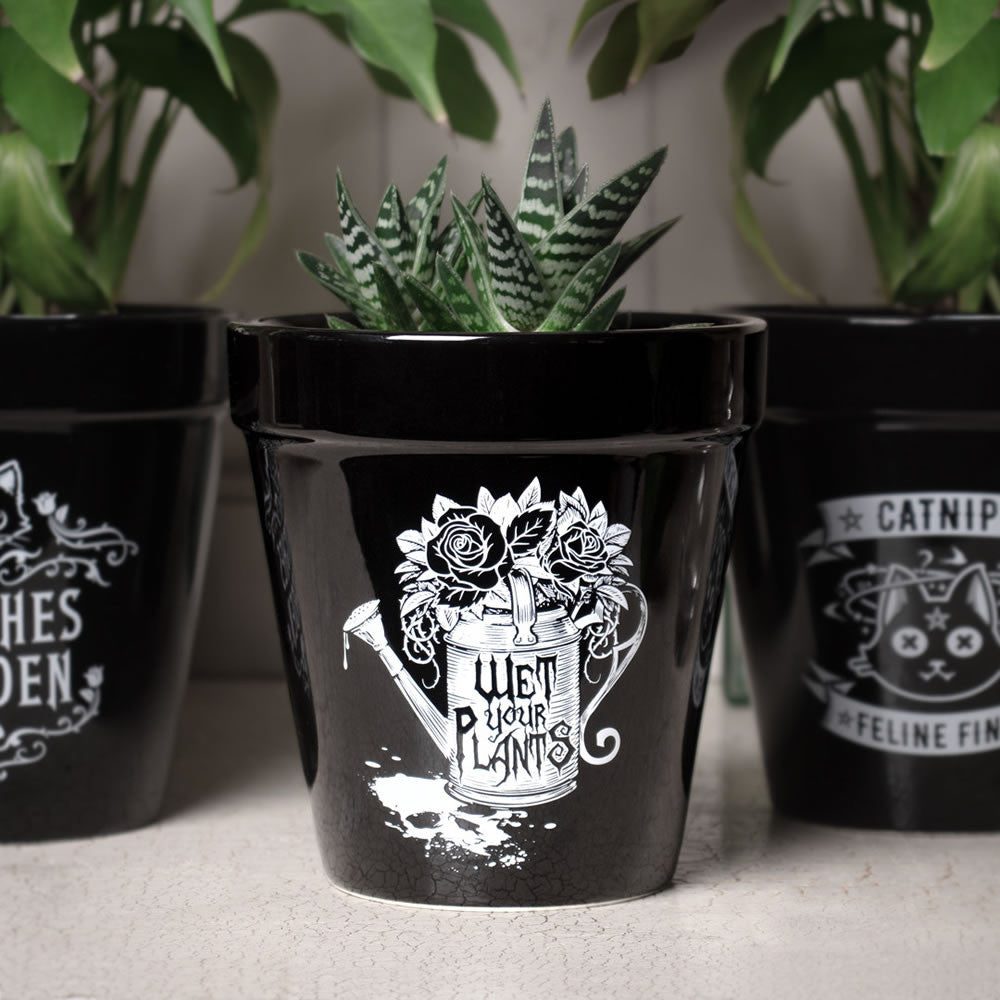 Alchemy Gothic Wet Your Plants Plant Pot GPP5