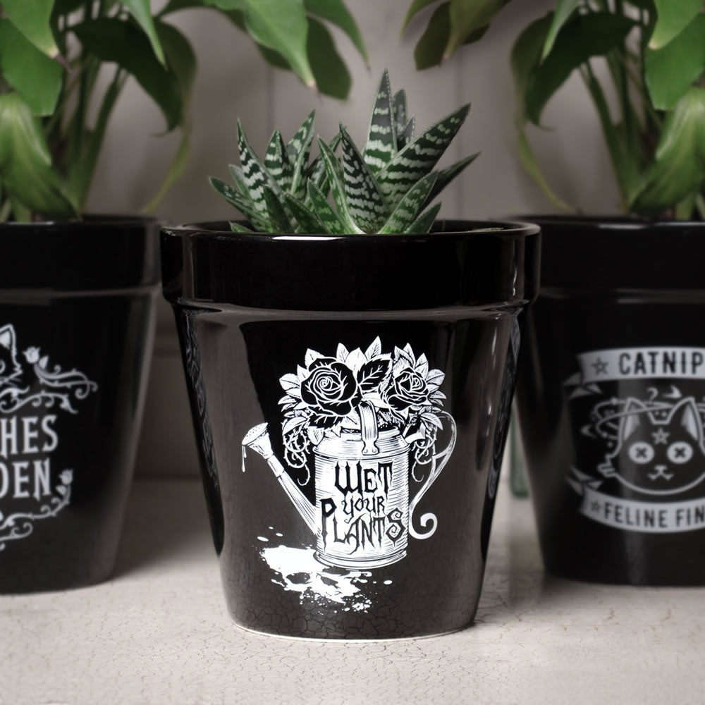 Alchemy Gothic Wet Your Plants Plant Pot GPP5