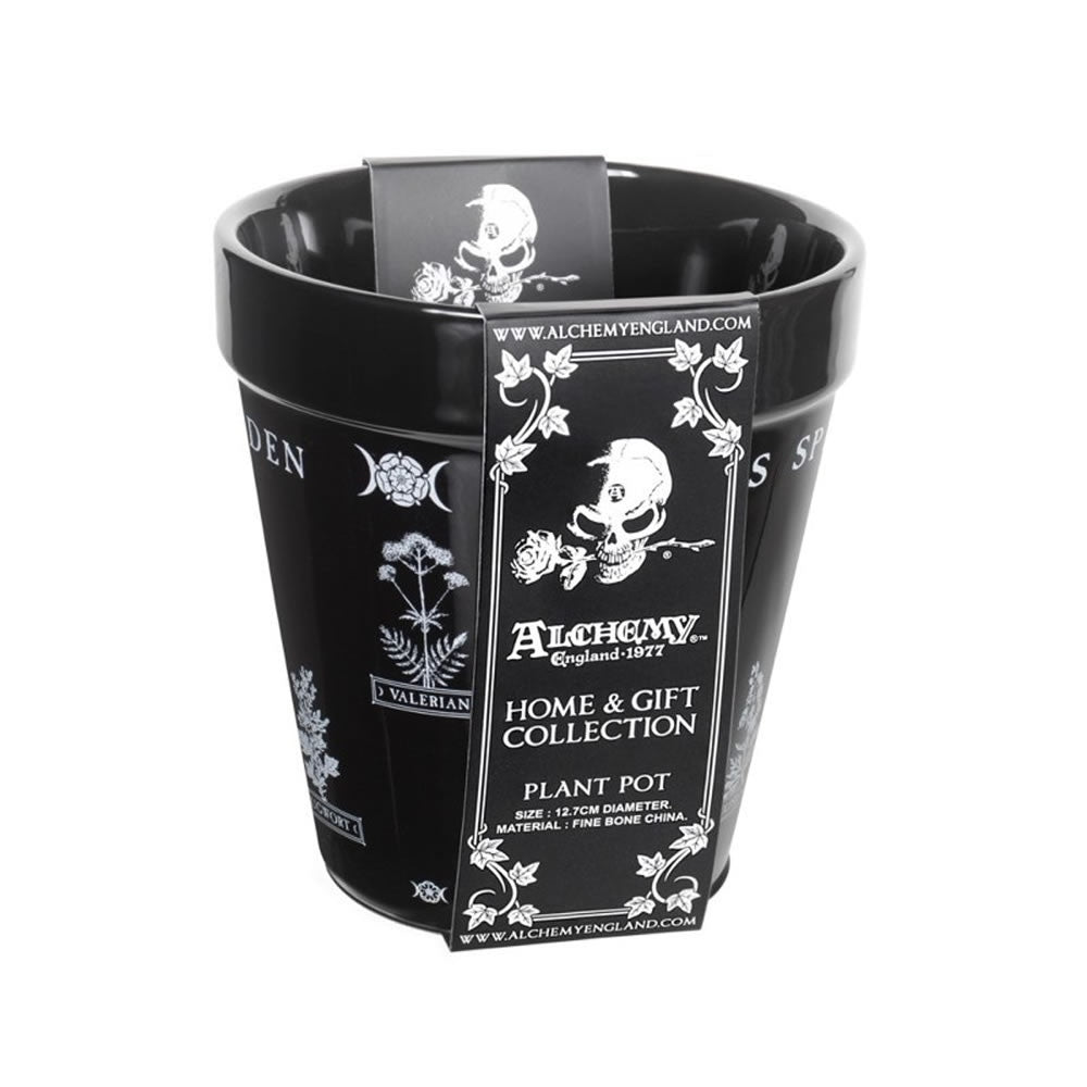 Alchemy Gothic Witches Spell Garden Plant Pot GPP6