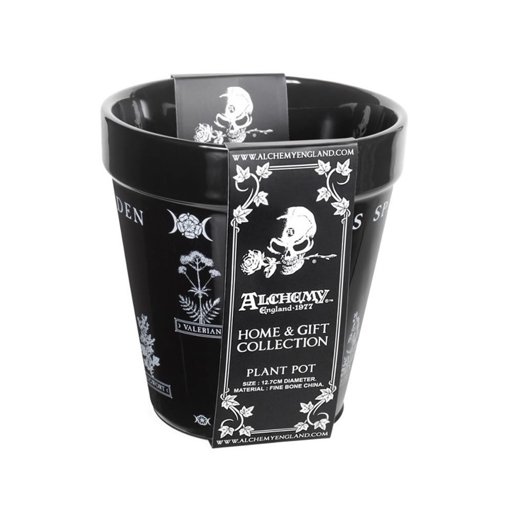Alchemy Gothic Witches Spell Garden Plant Pot GPP6