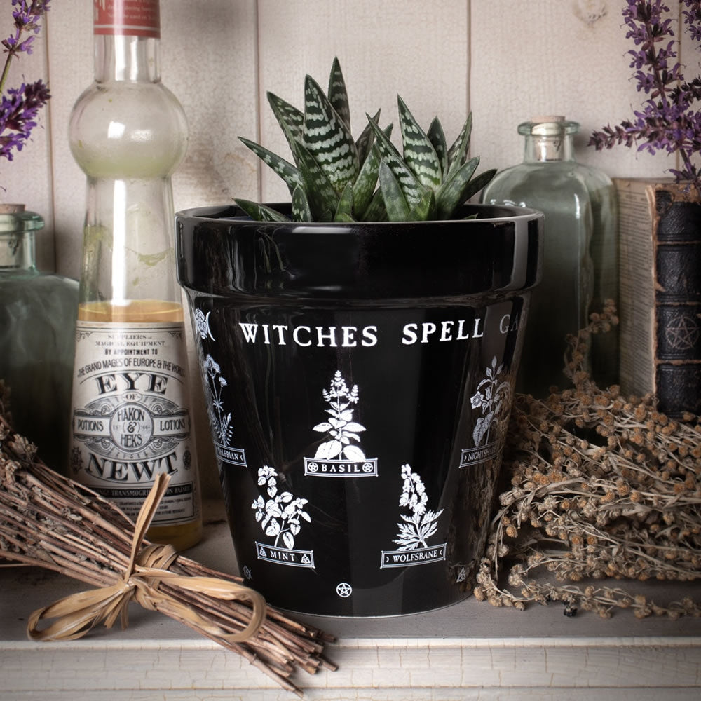 Alchemy Gothic Witches Spell Garden Plant Pot GPP6