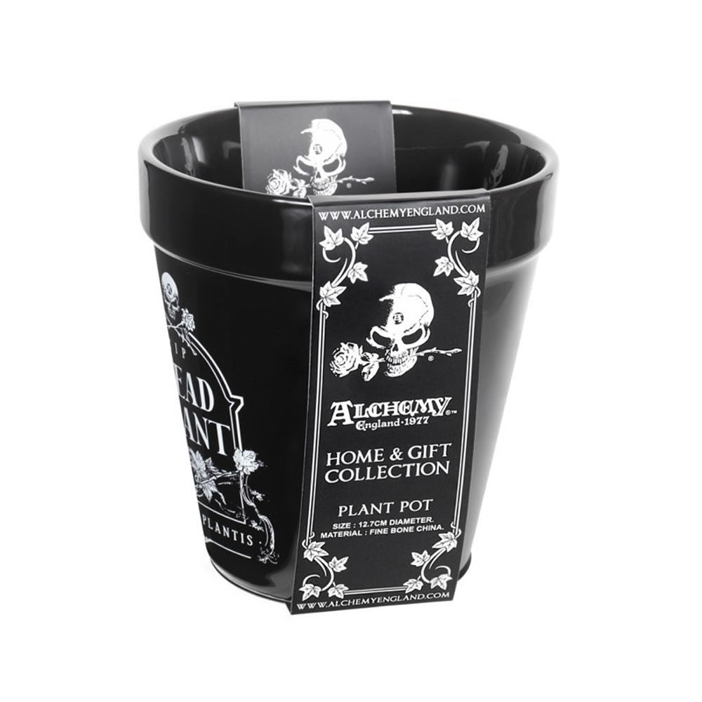 Alchemy Gothic RIP Dead Plant Pot GPP7