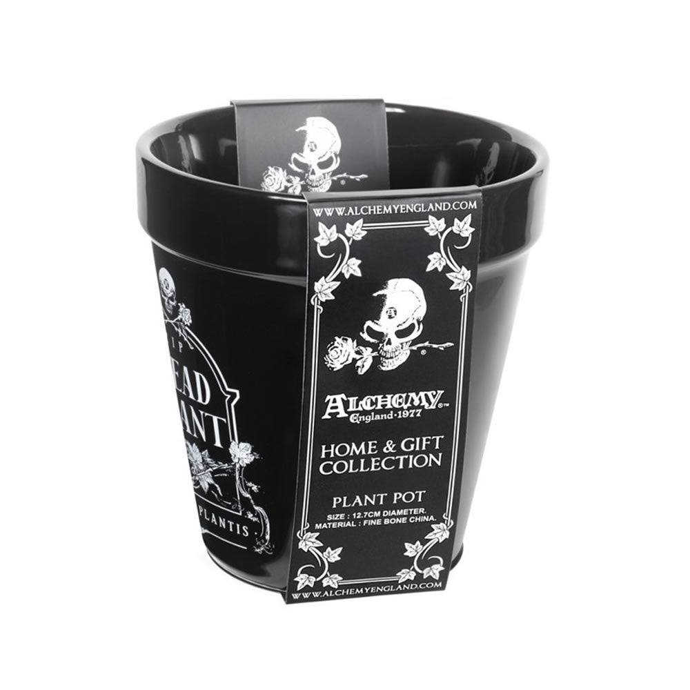 Alchemy Gothic RIP Dead Plant Pot GPP7