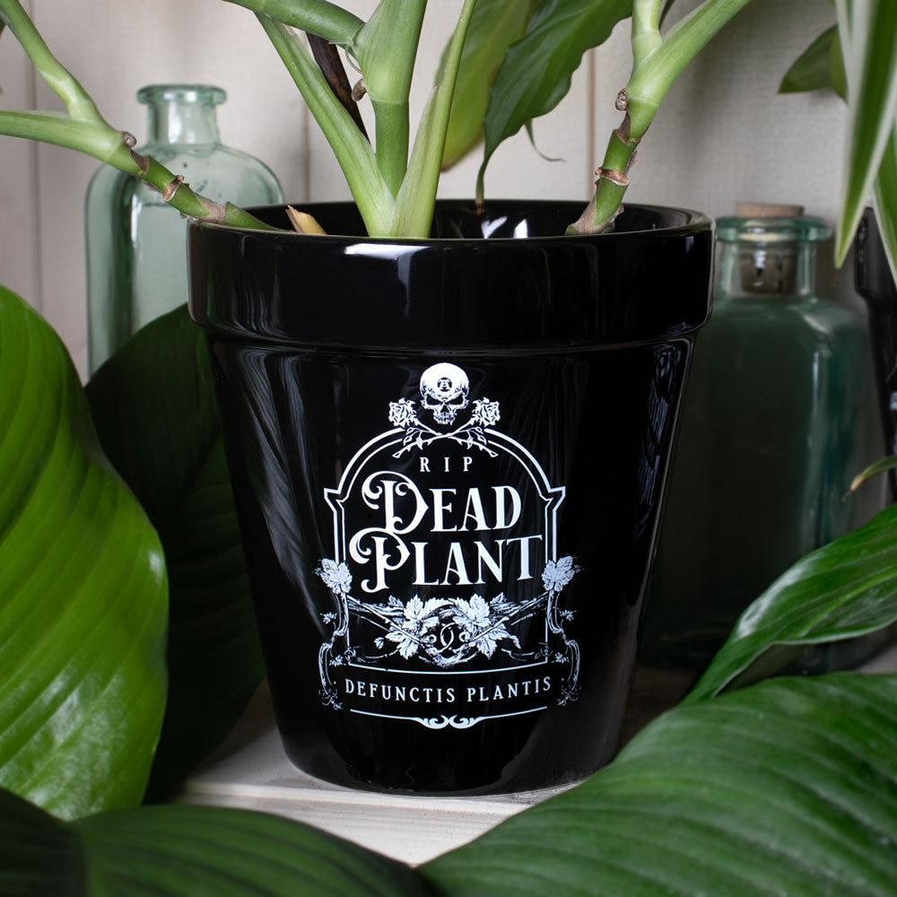 Alchemy Gothic RIP Dead Plant Pot GPP7