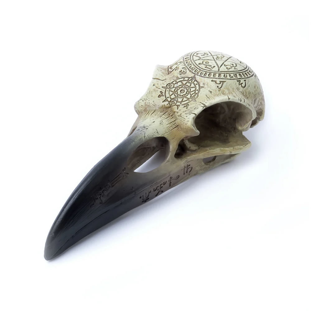 Alchemy Gothic 6.5" Omega Raven Skull V67