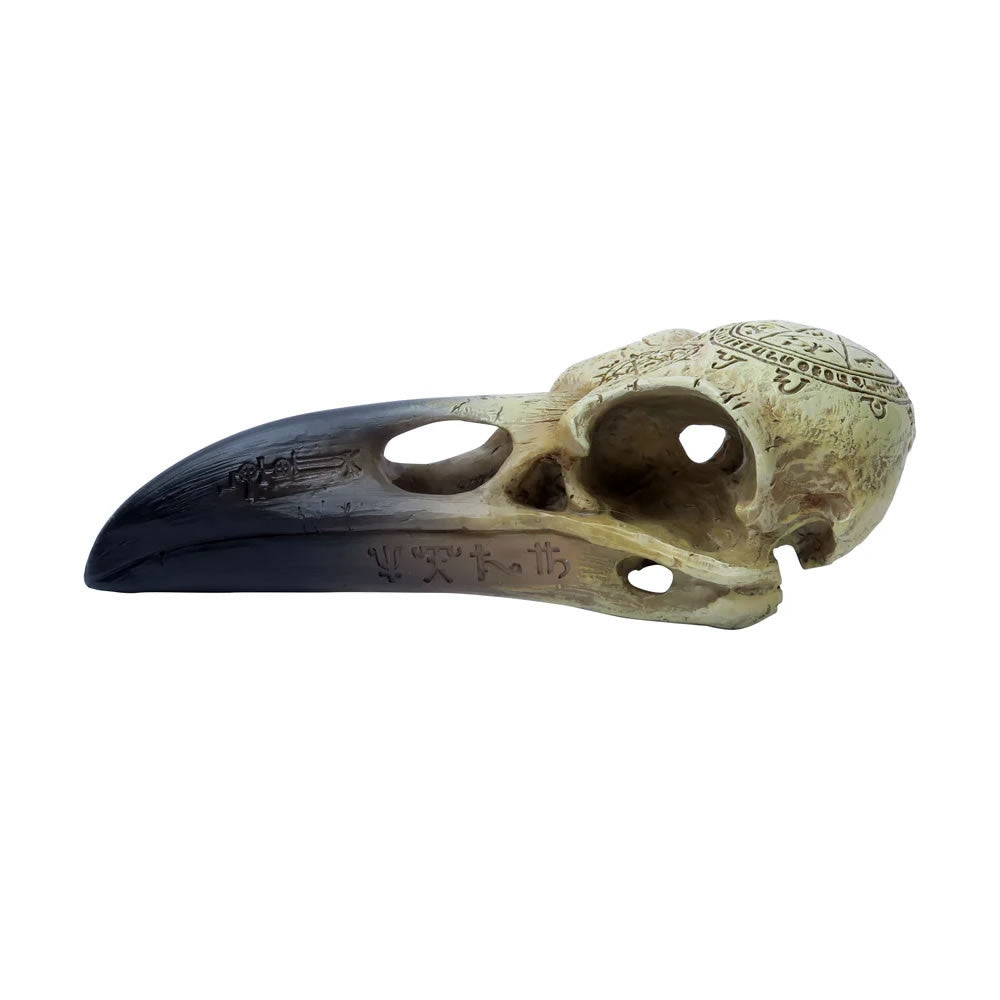 Alchemy Gothic 6.5" Omega Raven Skull V67