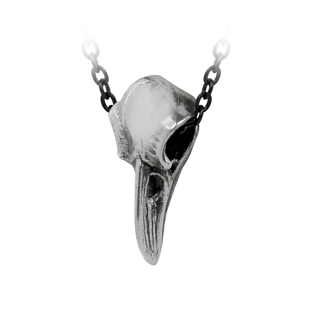 Alchemy Gothic Rabenschadel Klein Raven Skull Pendant P752