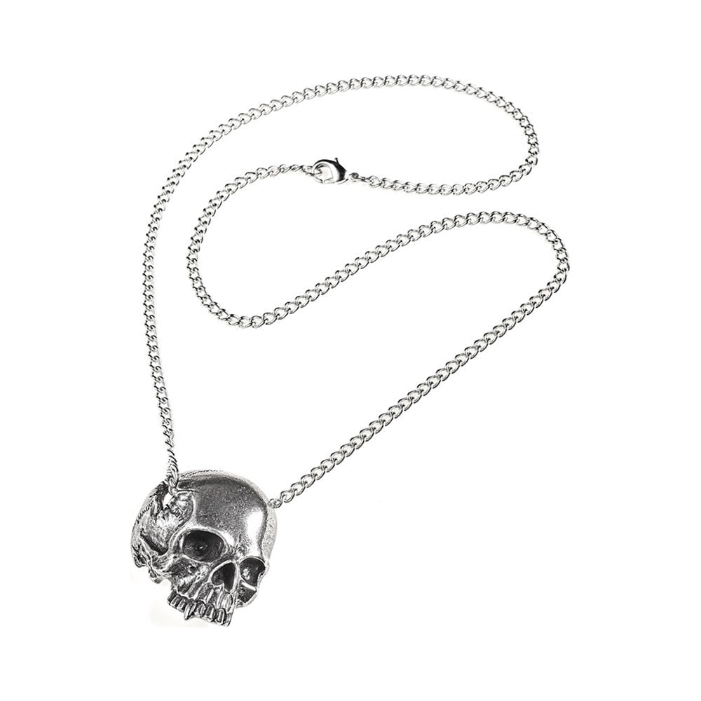 Alchemy Gothic Remains Necklace Crushed Skull Pendant P886