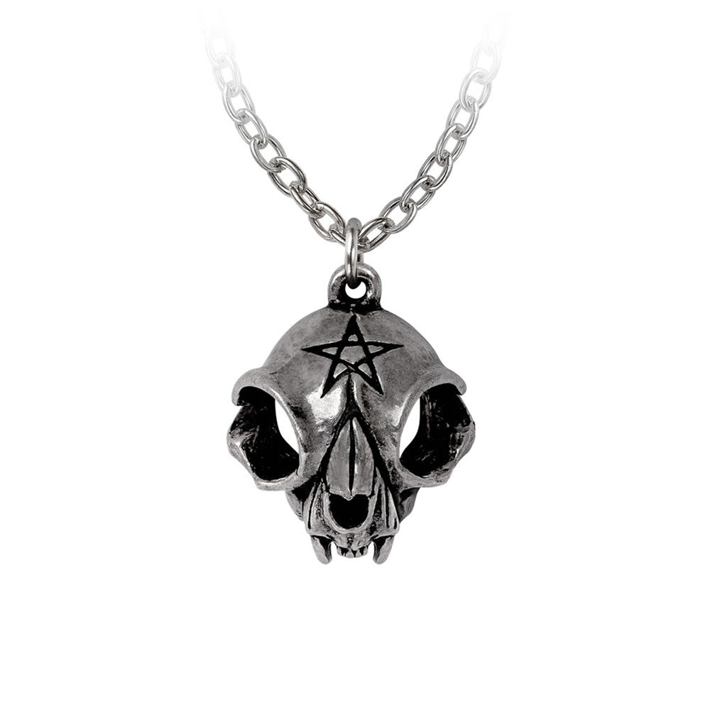 Alchemy Gothic My Forever Friend Pendant P938