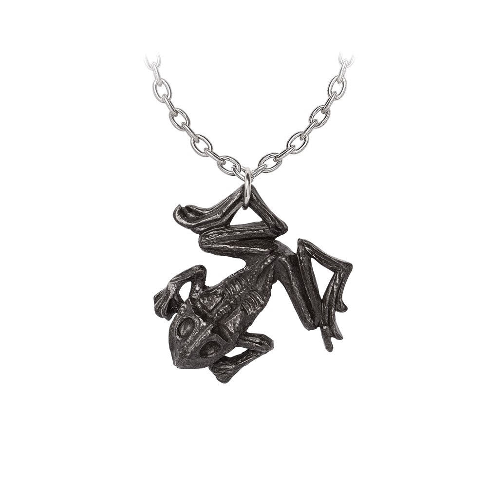 Alchemy Gothic Black Paddock Witch's Dead Frog P987