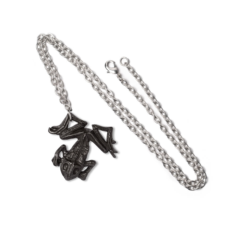 Alchemy Gothic Black Paddock Witch's Dead Frog P987