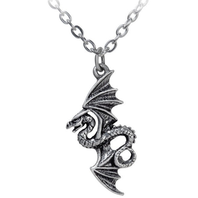 Silver dragon pendant on a chain against a white background