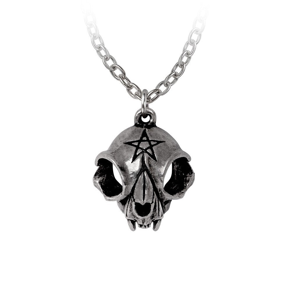 Silver necklace with a skull pendant featuring a pentagram on a white background