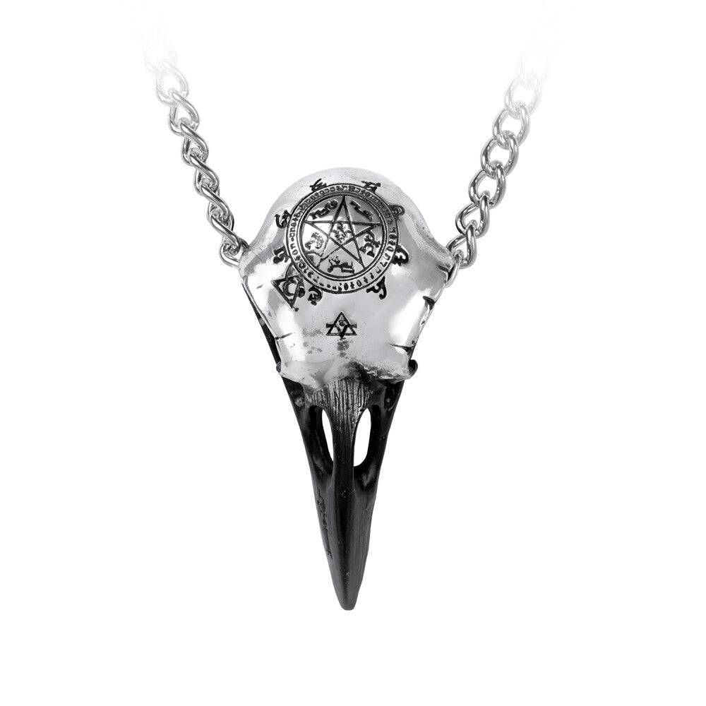 Pewter raven skull pendant on a silver chain against a white background