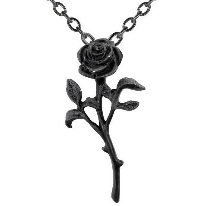 Black rose necklace with chain on a white background