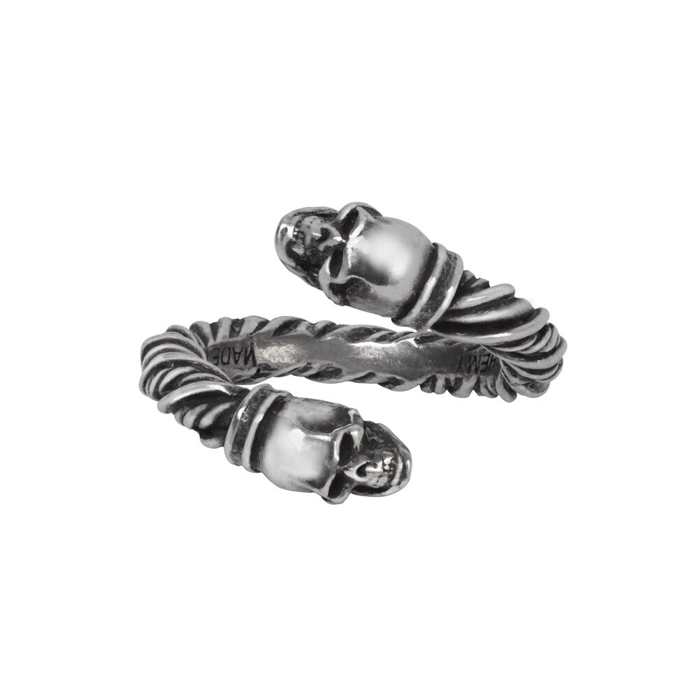 Pair of silver skull-shaped earrings on a white background