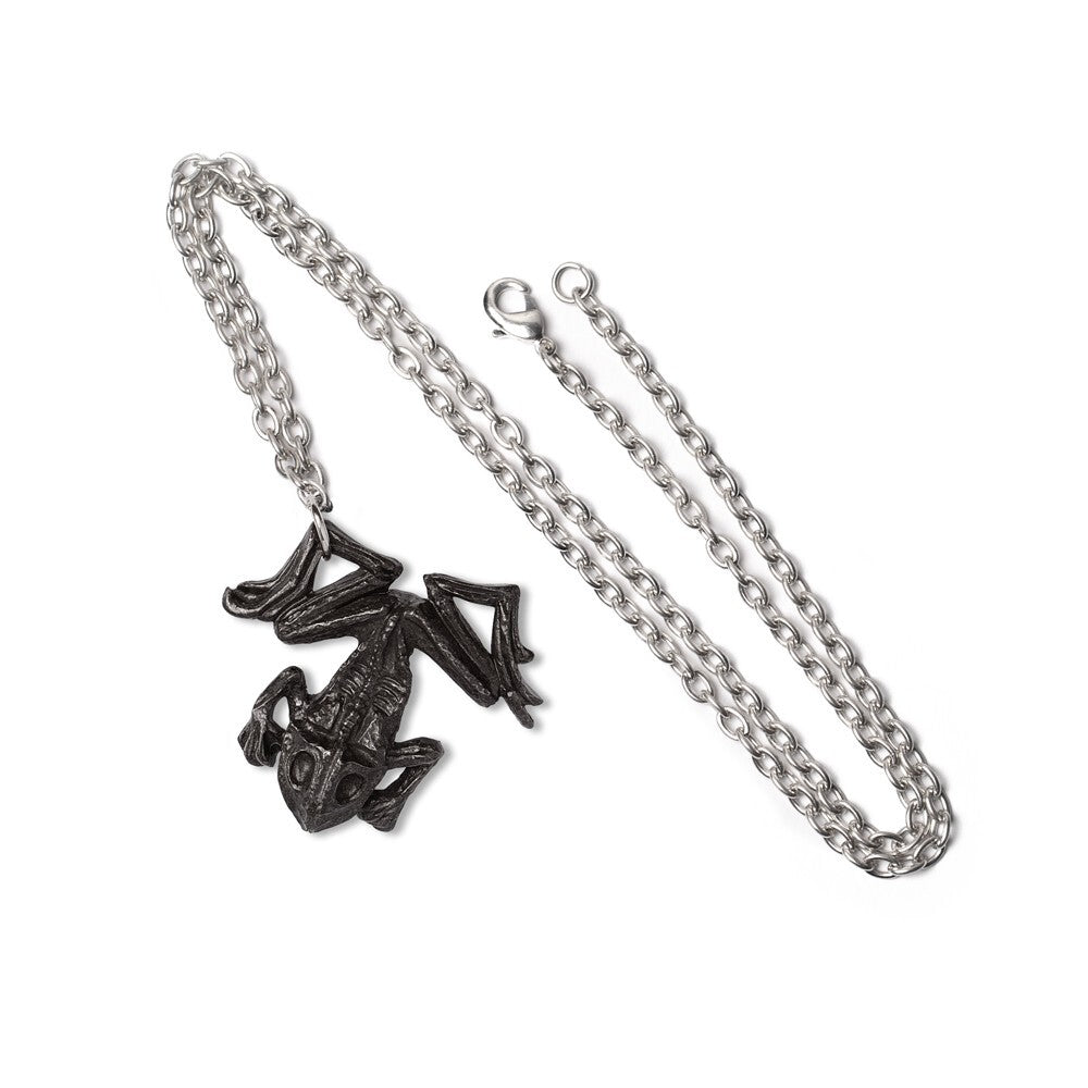 Alchemy Gothic Black Paddock Witch's Dead Frog P987