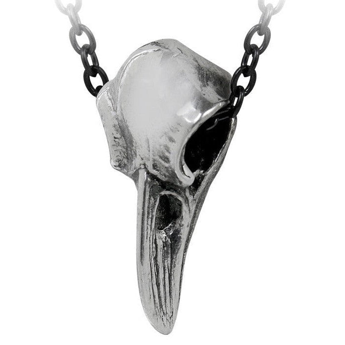 Silver bird skull pendant on a chain against a white background