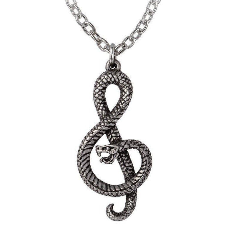 Silver necklace with a snake-shaped pendant on a white background