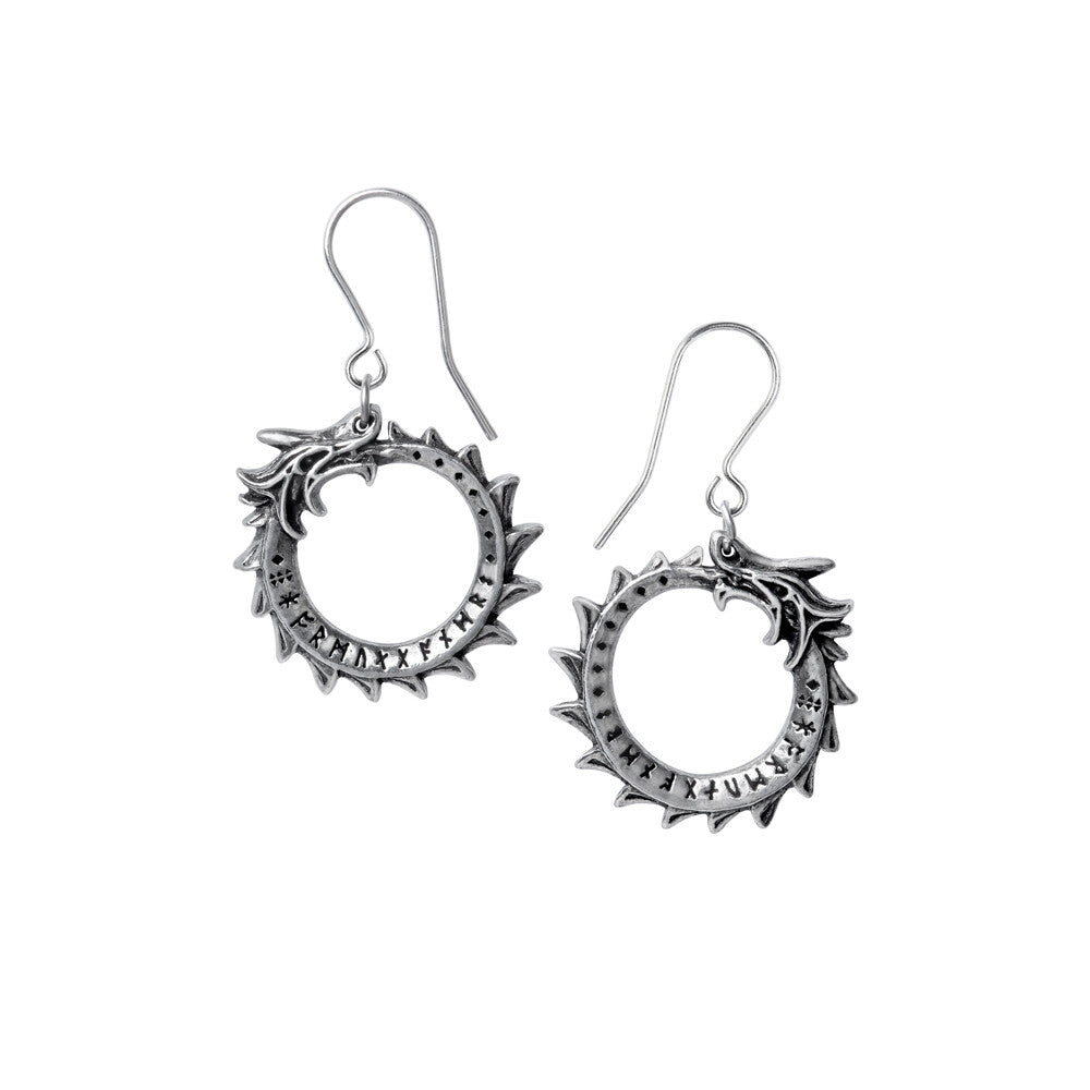 Pair of silver earrings on a white background