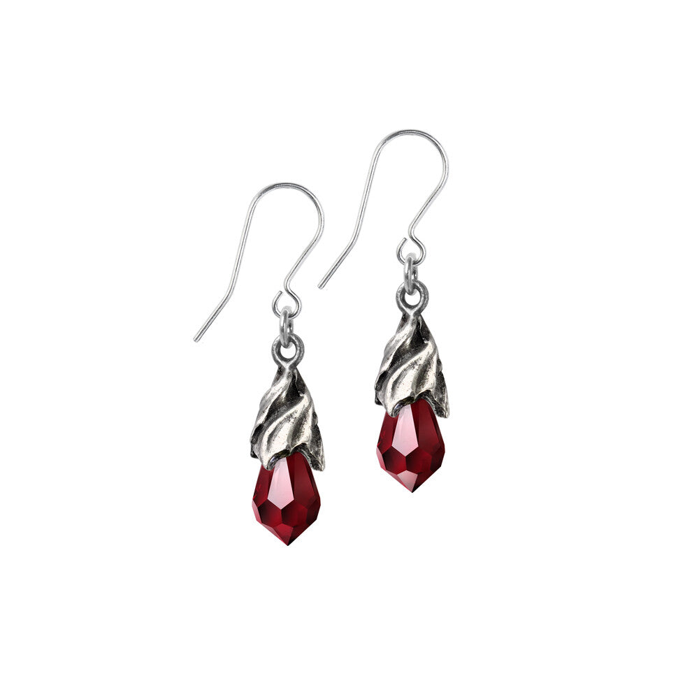 Silver earrings with red gemstones on a white background