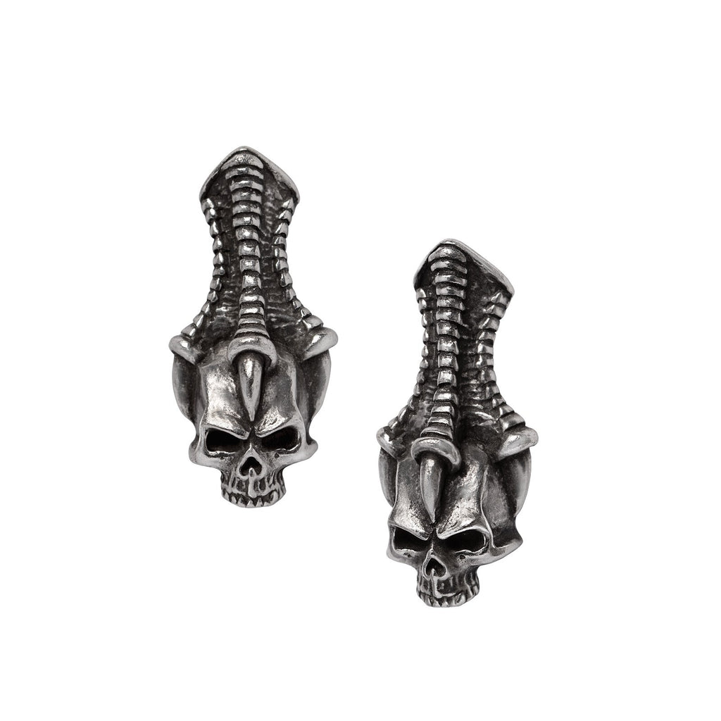 Pair of silver skull and ribcage earrings on a white background