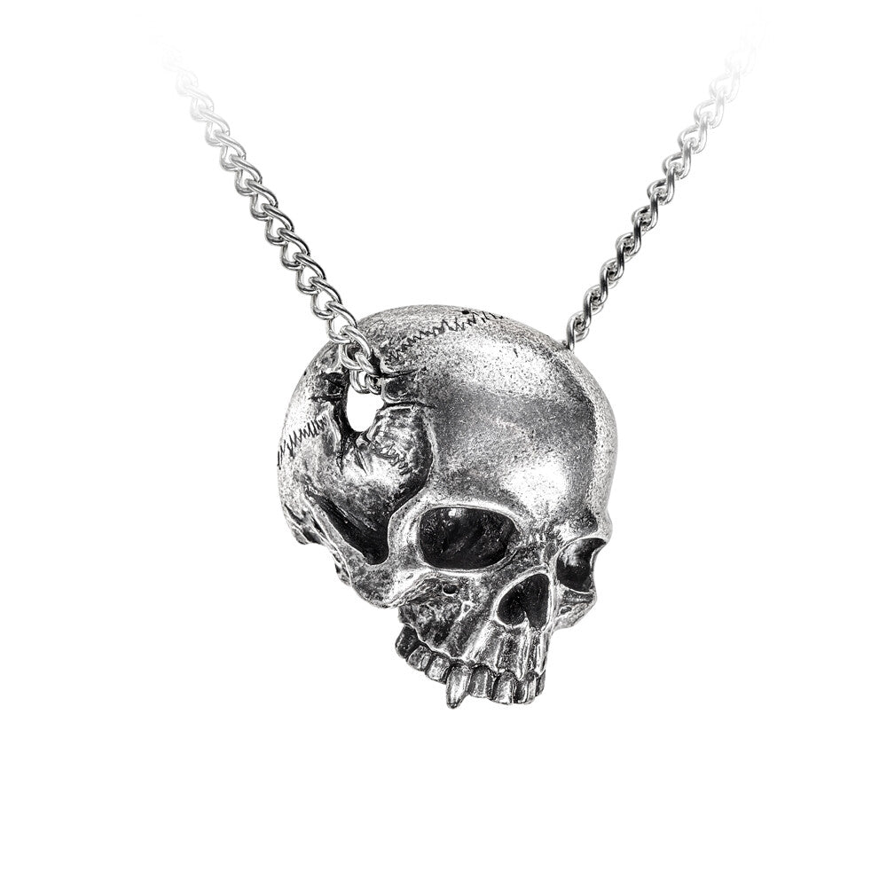 Alchemy Gothic Remains Necklace Crushed Skull Pendant P886