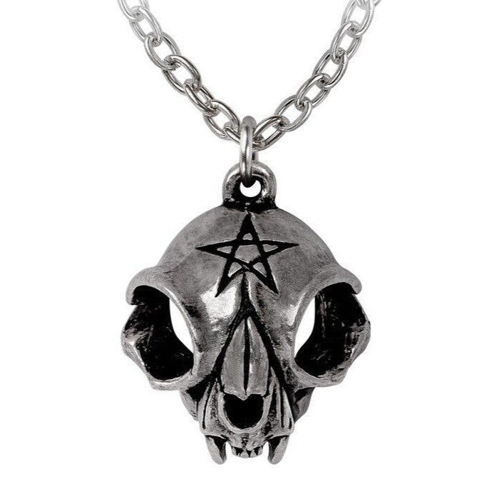 Silver skull-shaped pendant with a pentagram on a chain against a white background