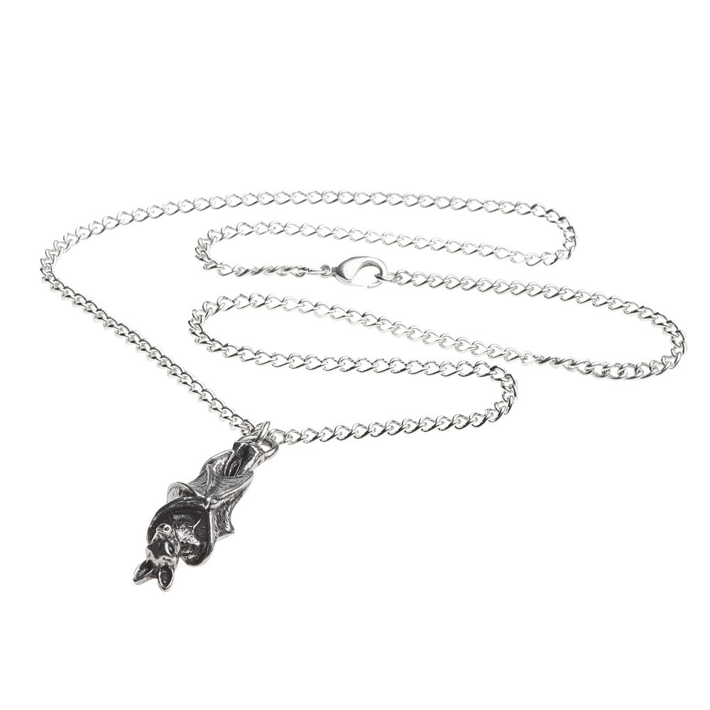 Silver necklace with a unique pendant on a white background