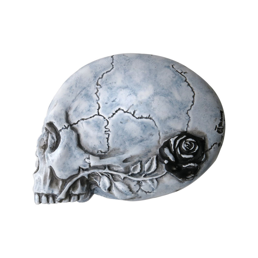 Alchemy Gothic Nevermore Skull Raven Compact Mirror V27